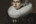 wybrand en rembrandt