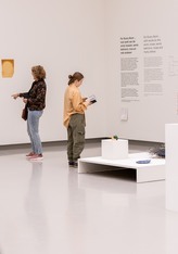 HR - Fries Museum - Publieksopening Semâ Bekirović en Heem-16.jpg