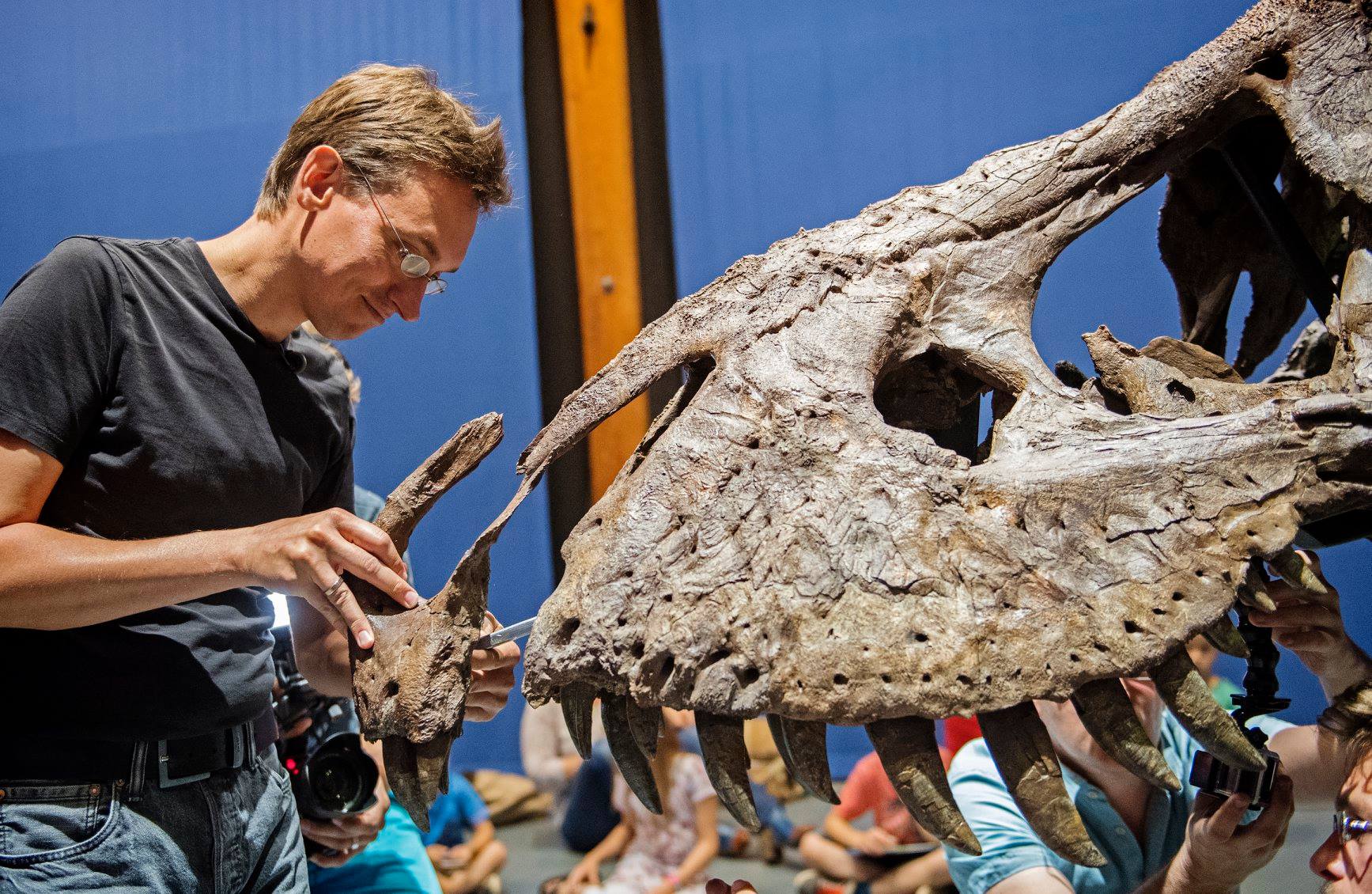 dinoprofessor anne schulp