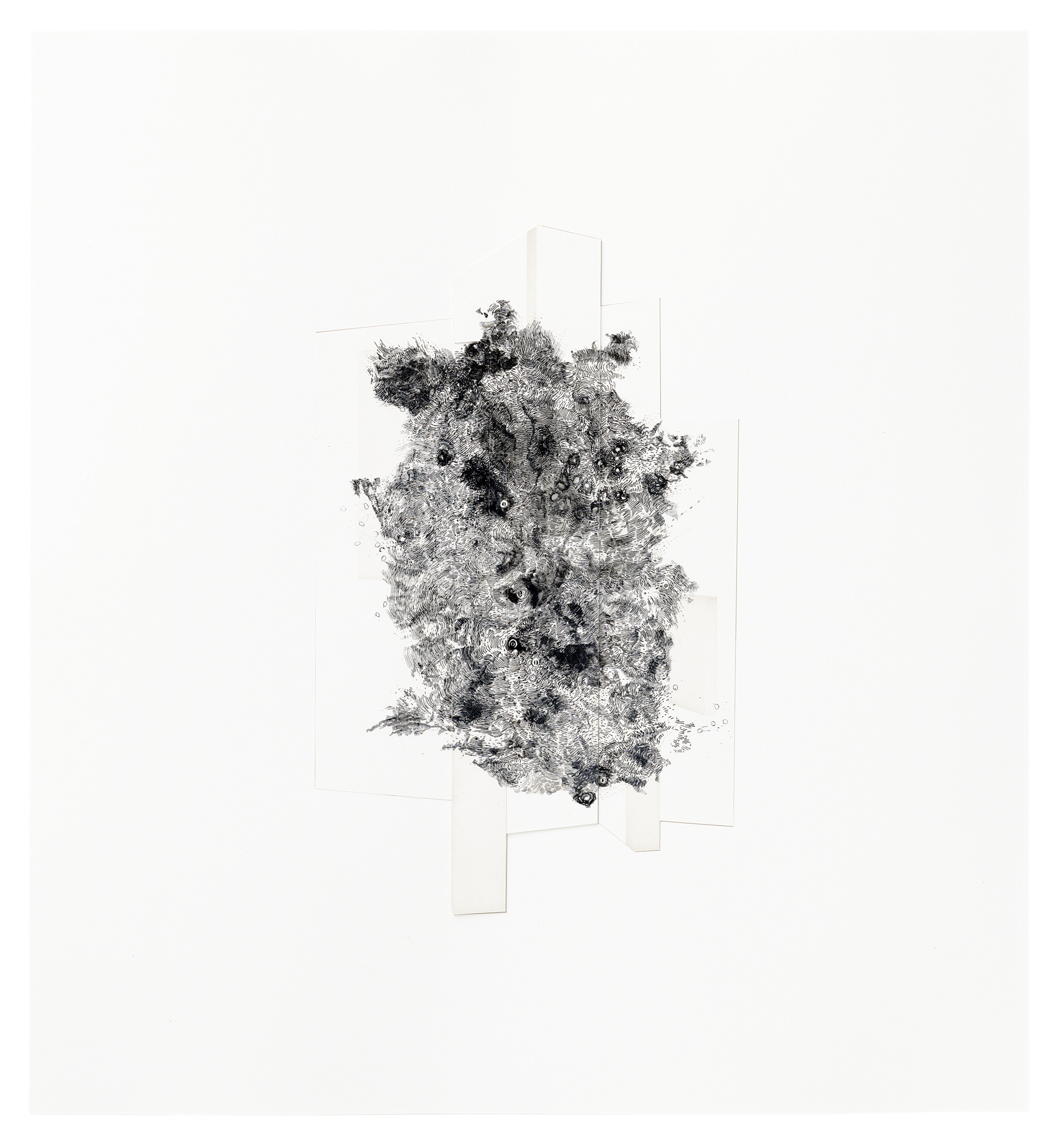 Osedax 2010 Edgar Cleijne Ellen Gallagher Installation view