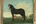 het paard van sake meintes visser