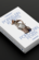 Porcelain Fever book