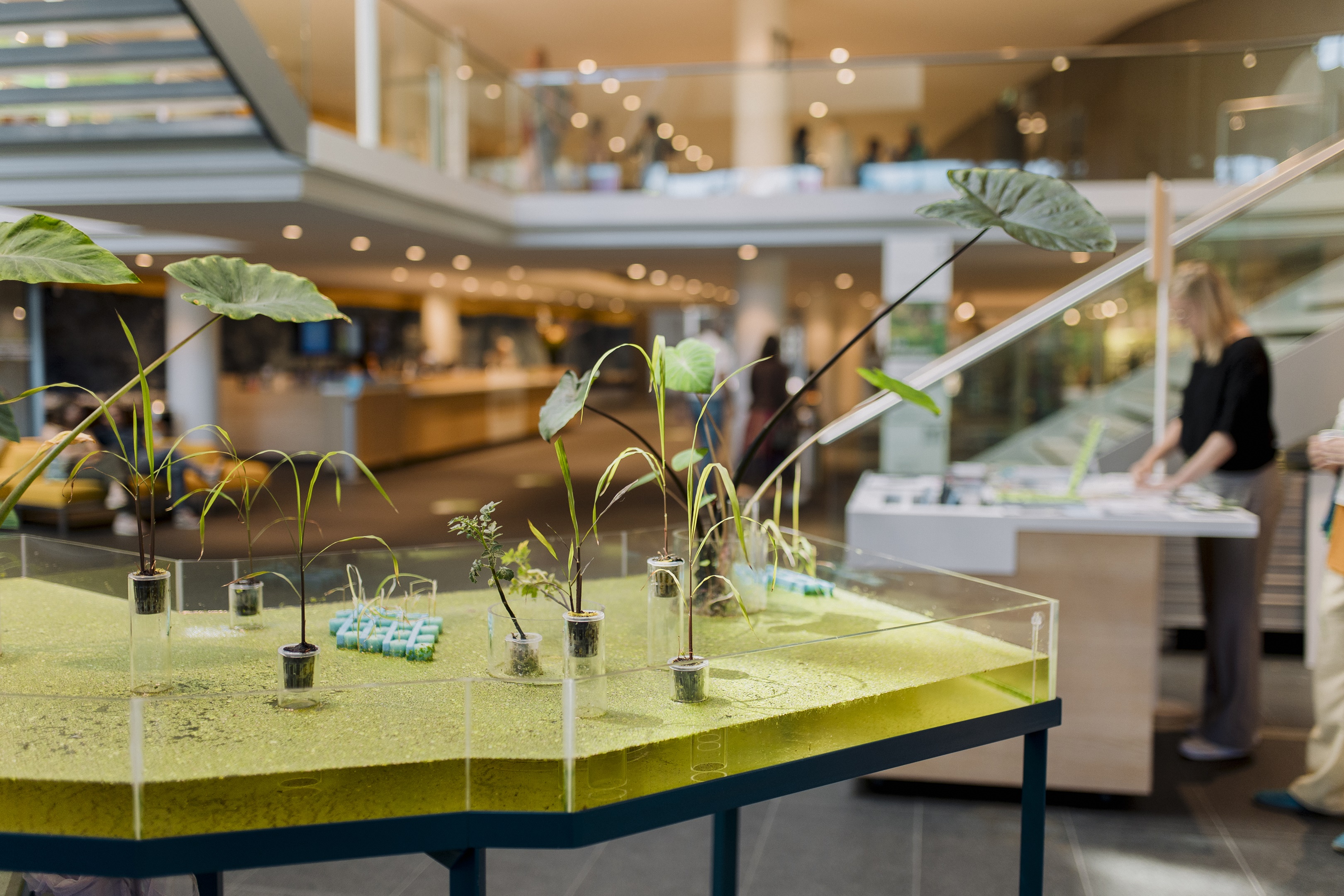 Onkruidenier, Fries Museum - foto door Marleen Annema