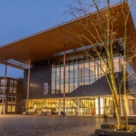 organisatie