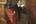 christoffel & kate bisschop