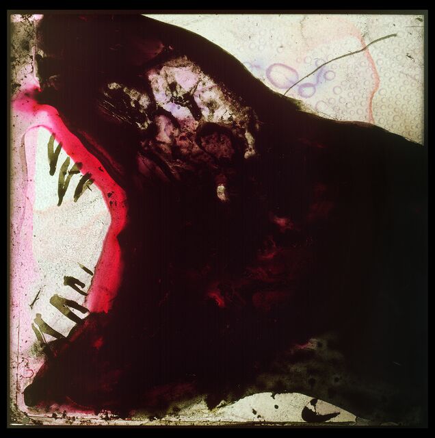 Osedax 2010 Edgar Cleijne Ellen Gallagher Installation view