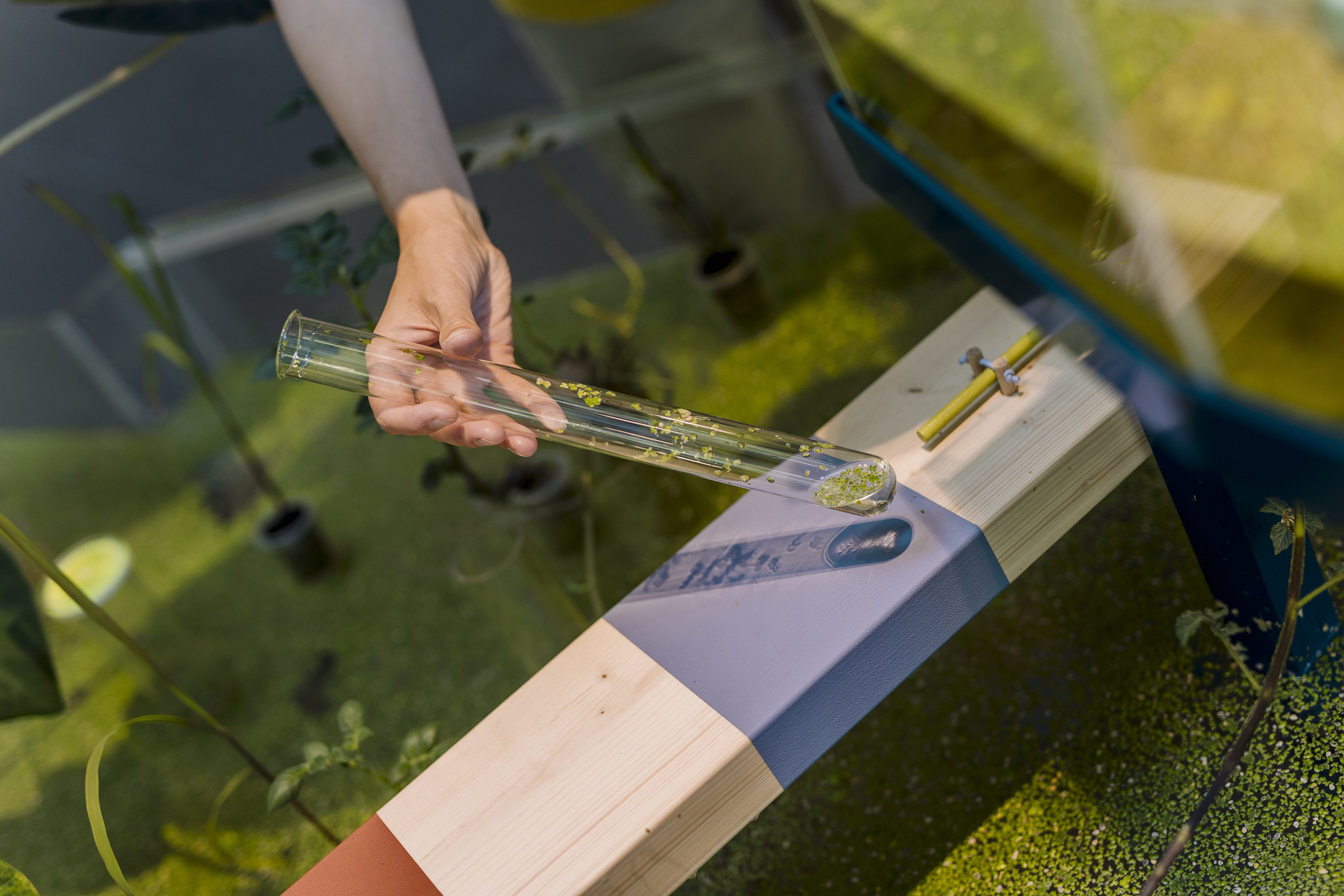 Onkruidenier, Fries Museum - foto door Marleen Annema