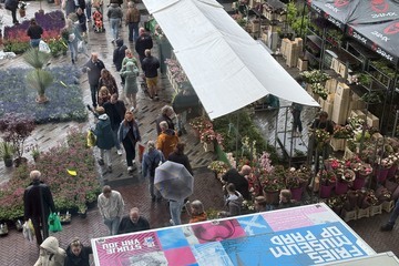 bloemetjesmarkt, ljouwert