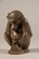 Baboon