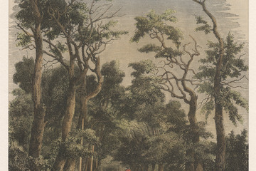 view of the grote laan in rijs