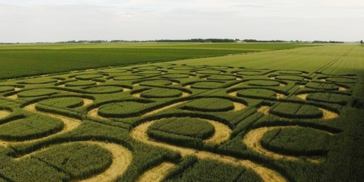 escher in het graan
