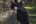 jacqueline spendel