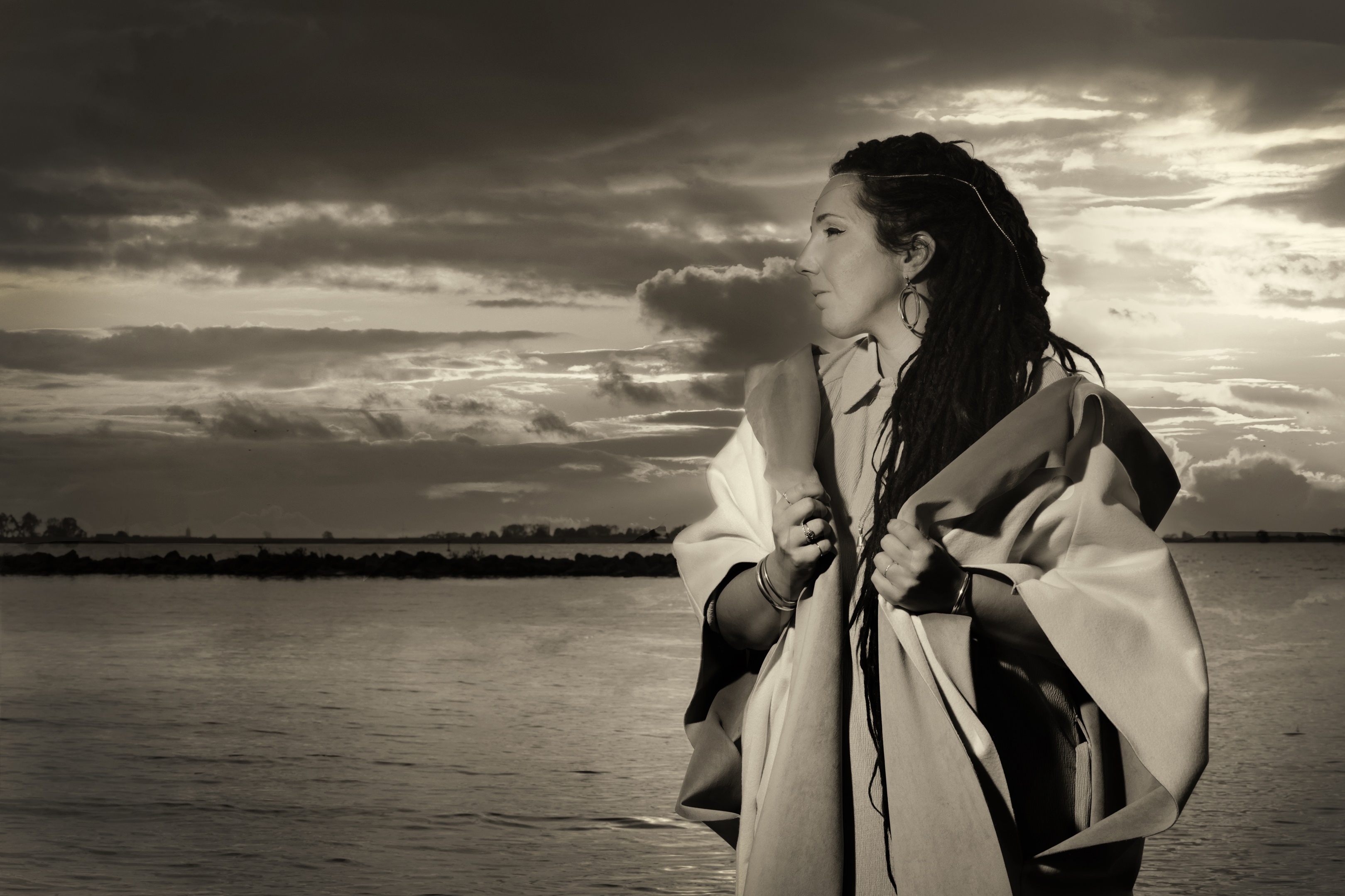 DINA medisyn (credits_ Kenneth Stamp) II.jpg