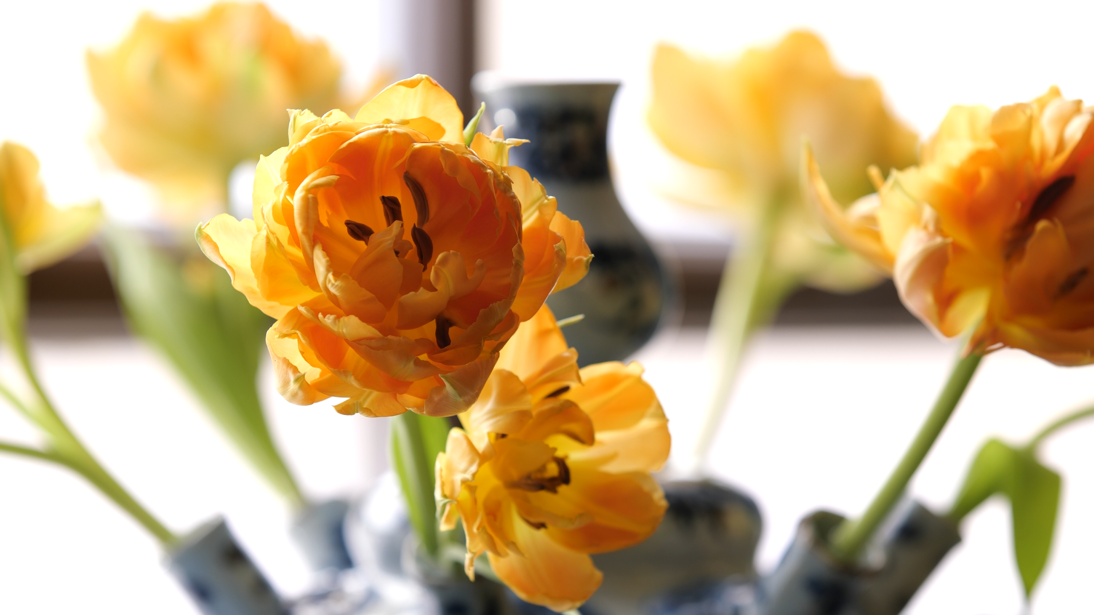 Still from Maria Louise was here