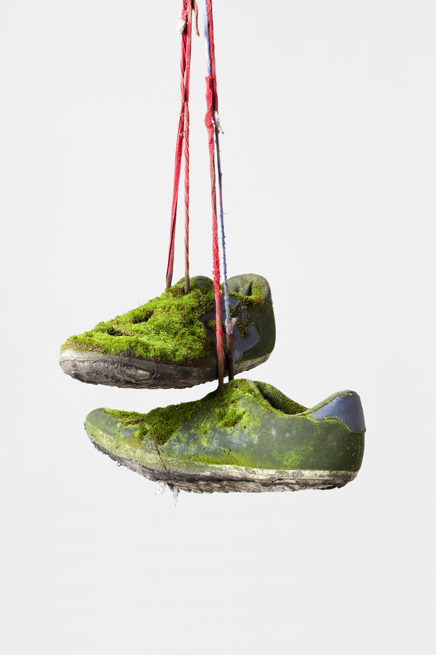 Kunstenaar: mos, materiaal: schoenen. Onderdeel van Reading by Osmosis, gecureerd door Semâ Bekirović.