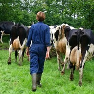 farmers and ranchers