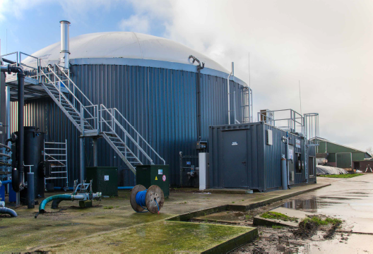 Zuivelindustrie in ontwikkeling